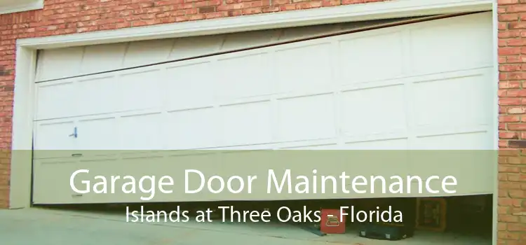 Garage Door Maintenance Islands at Three Oaks - Florida