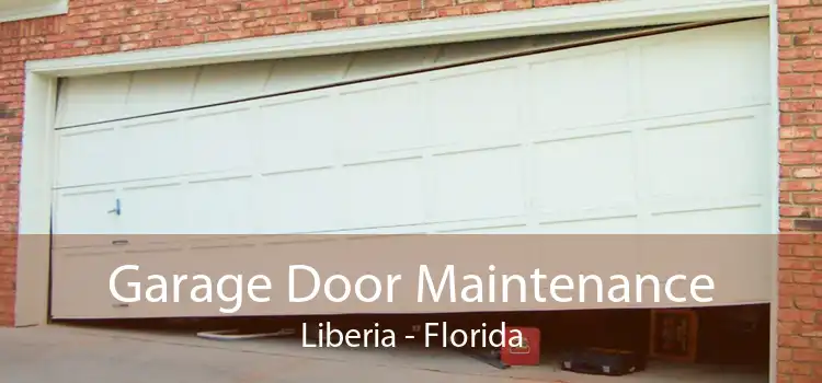 Garage Door Maintenance Liberia - Florida