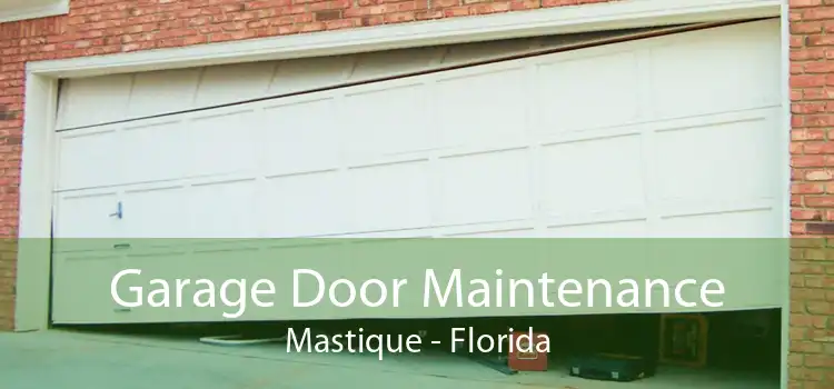 Garage Door Maintenance Mastique - Florida