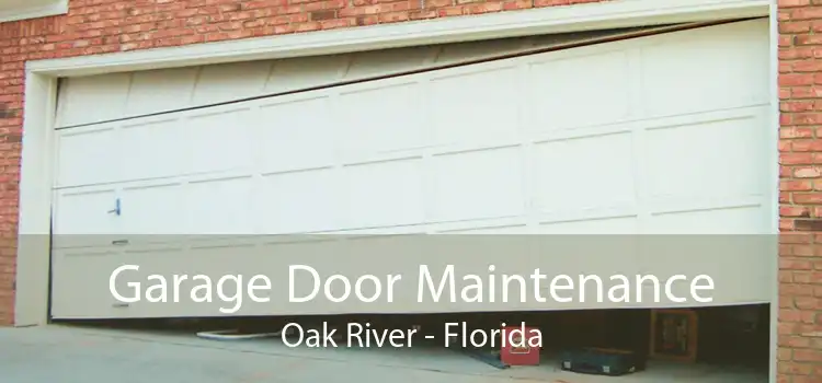 Garage Door Maintenance Oak River - Florida