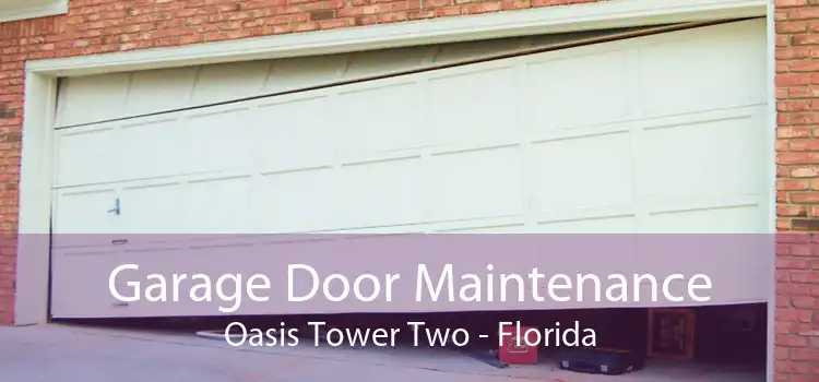 Garage Door Maintenance Oasis Tower Two - Florida