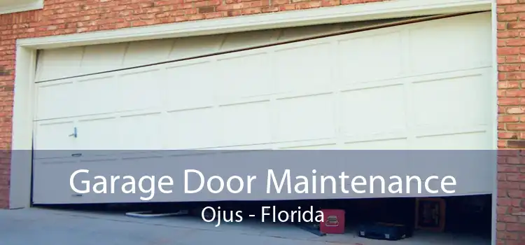 Garage Door Maintenance Ojus - Florida