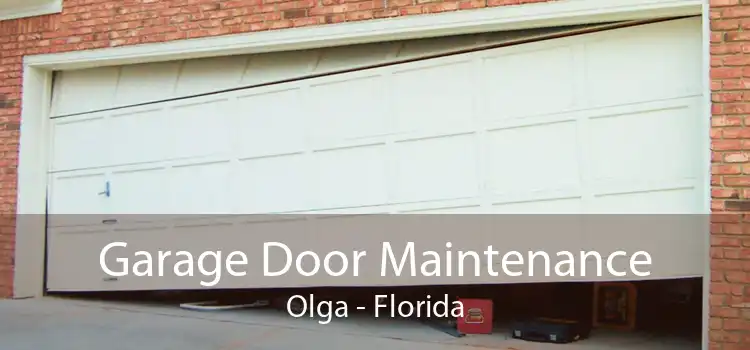 Garage Door Maintenance Olga - Florida