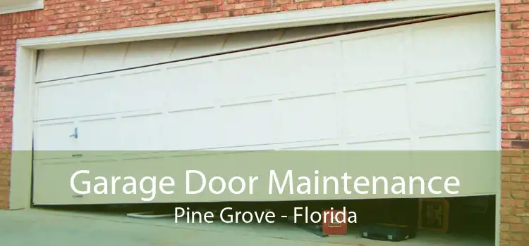 Garage Door Maintenance Pine Grove - Florida