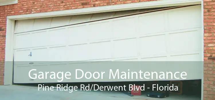 Garage Door Maintenance Pine Ridge Rd/Derwent Blvd - Florida