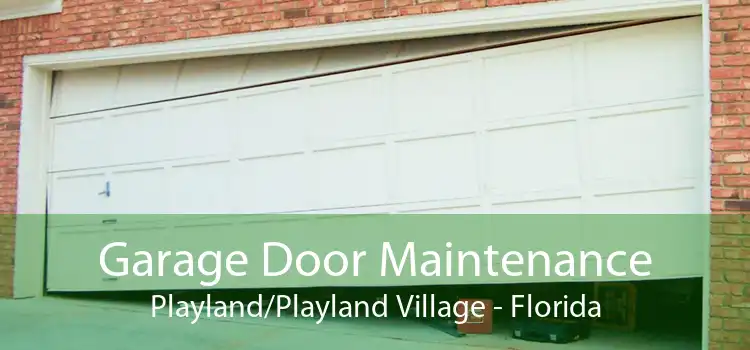 Garage Door Maintenance Playland/Playland Village - Florida