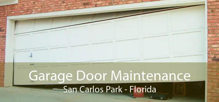 Garage Door Maintenance San Carlos Park - Florida