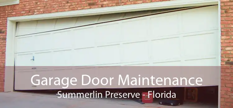 Garage Door Maintenance Summerlin Preserve - Florida