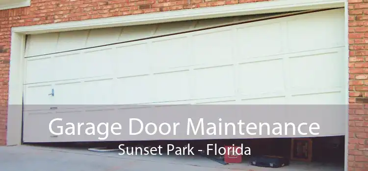 Garage Door Maintenance Sunset Park - Florida