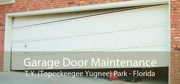 Garage Door Maintenance T.Y. (Topeekeegee Yugnee) Park - Florida