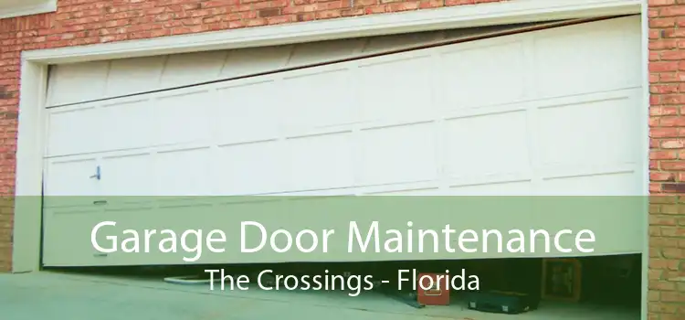 Garage Door Maintenance The Crossings - Florida