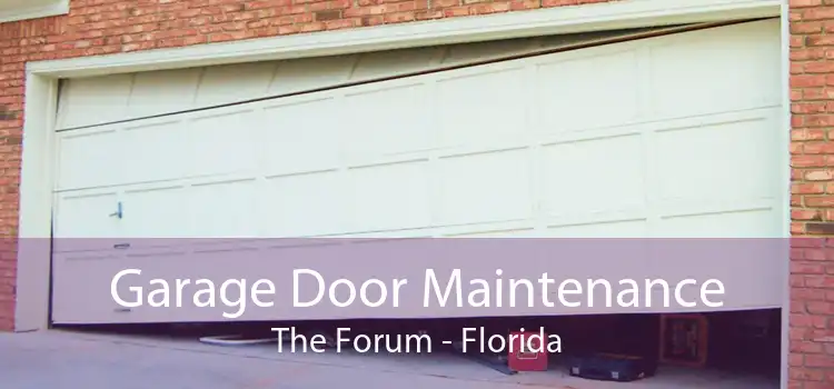 Garage Door Maintenance The Forum - Florida