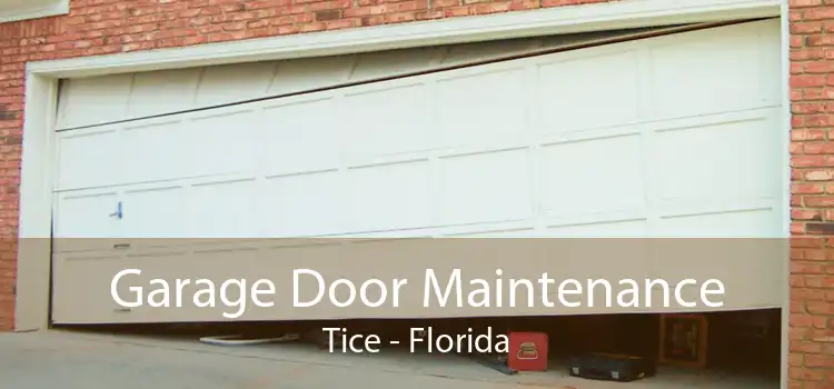 Garage Door Maintenance Tice - Florida