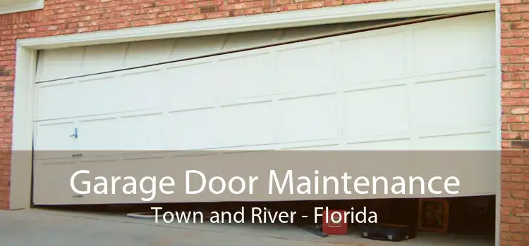 Garage Door Maintenance Town and River - Florida