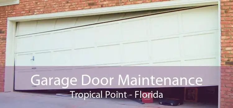 Garage Door Maintenance Tropical Point - Florida