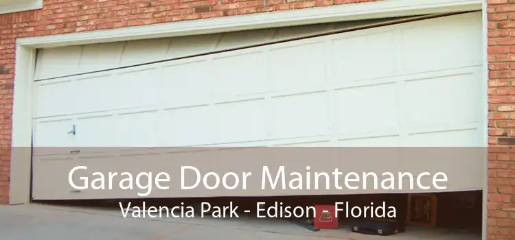 Garage Door Maintenance Valencia Park - Edison - Florida