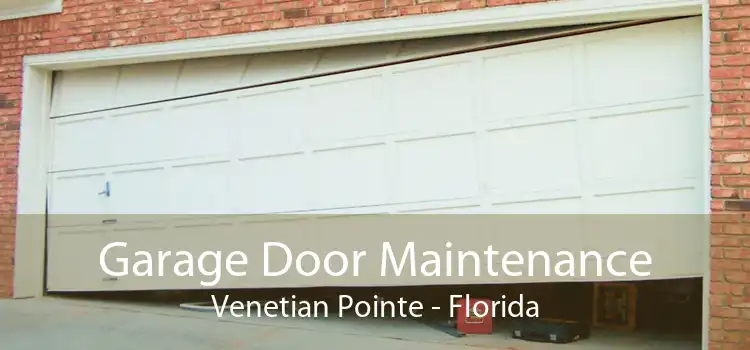 Garage Door Maintenance Venetian Pointe - Florida