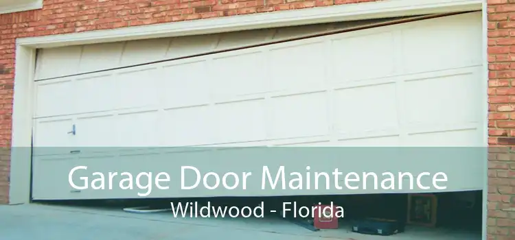 Garage Door Maintenance Wildwood - Florida