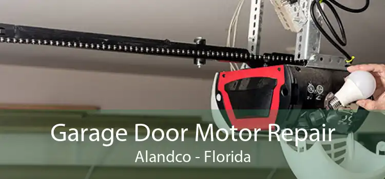 Garage Door Motor Repair Alandco - Florida