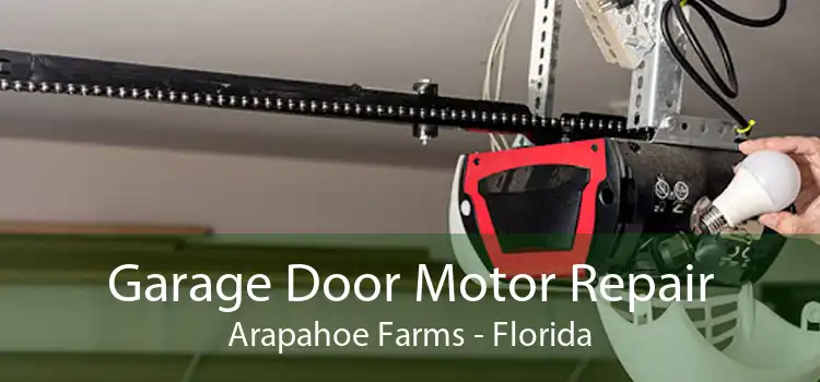 Garage Door Motor Repair Arapahoe Farms - Florida