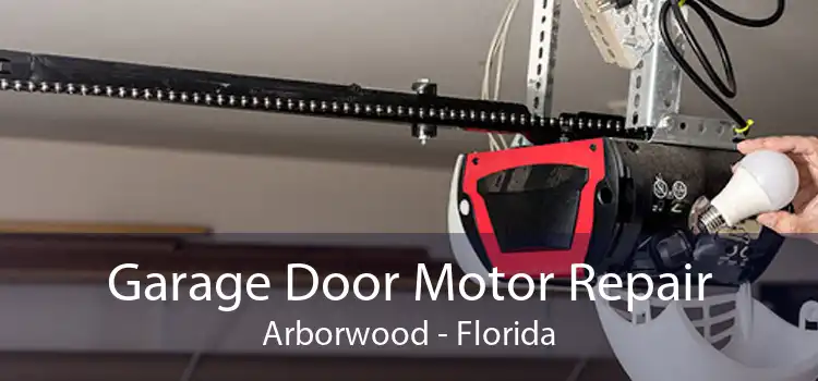 Garage Door Motor Repair Arborwood - Florida