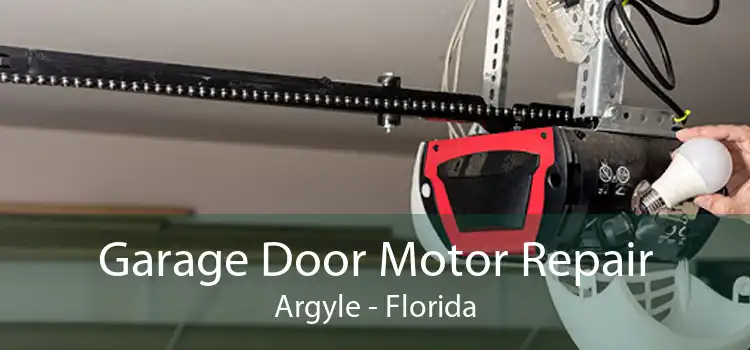 Garage Door Motor Repair Argyle - Florida