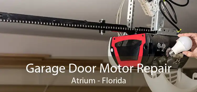 Garage Door Motor Repair Atrium - Florida