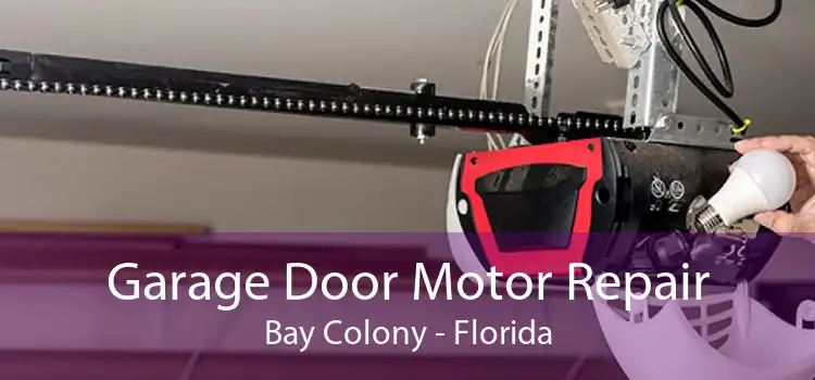 Garage Door Motor Repair Bay Colony - Florida