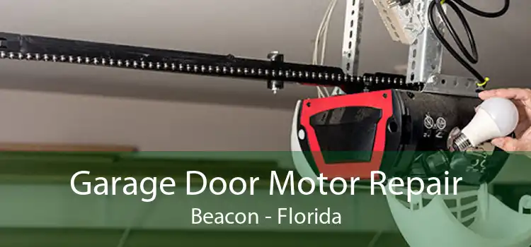 Garage Door Motor Repair Beacon - Florida