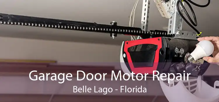 Garage Door Motor Repair Belle Lago - Florida