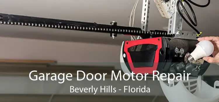 Garage Door Motor Repair Beverly Hills - Florida