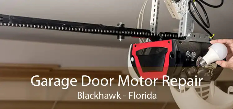 Garage Door Motor Repair Blackhawk - Florida