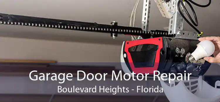 Garage Door Motor Repair Boulevard Heights - Florida