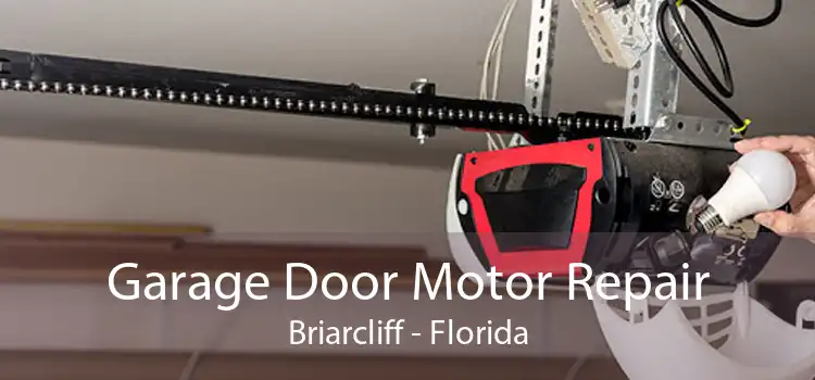 Garage Door Motor Repair Briarcliff - Florida