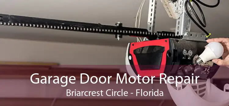 Garage Door Motor Repair Briarcrest Circle - Florida