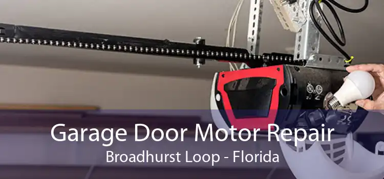 Garage Door Motor Repair Broadhurst Loop - Florida