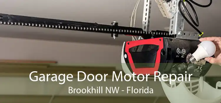 Garage Door Motor Repair Brookhill NW - Florida