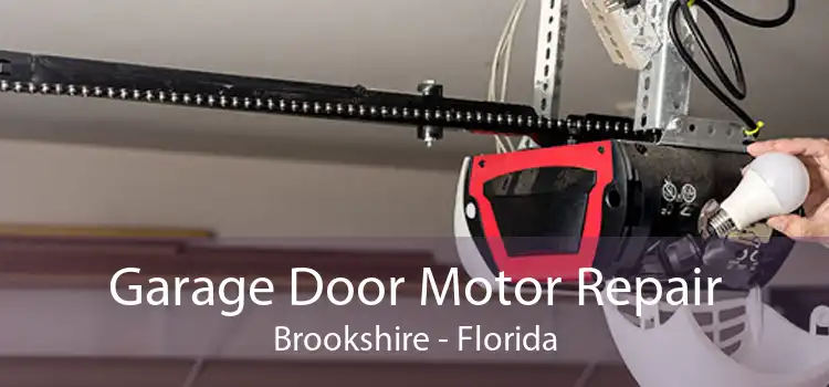 Garage Door Motor Repair Brookshire - Florida