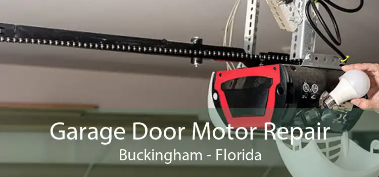 Garage Door Motor Repair Buckingham - Florida