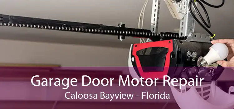 Garage Door Motor Repair Caloosa Bayview - Florida