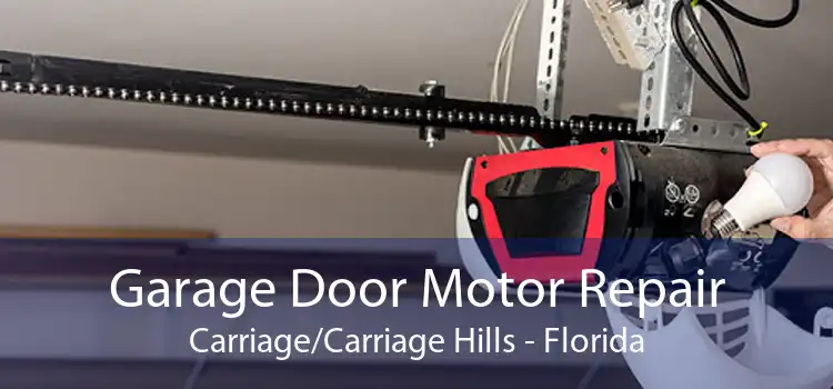 Garage Door Motor Repair Carriage/Carriage Hills - Florida