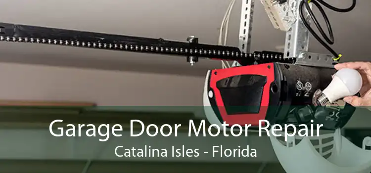 Garage Door Motor Repair Catalina Isles - Florida