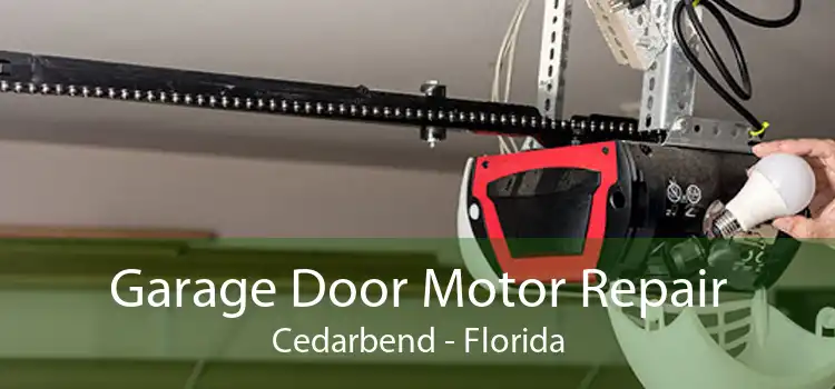 Garage Door Motor Repair Cedarbend - Florida