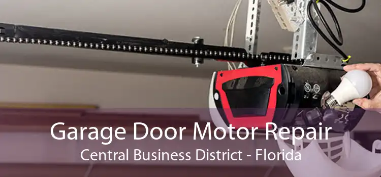 Garage Door Motor Repair Central Business District - Florida