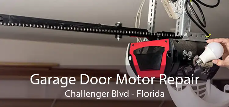 Garage Door Motor Repair Challenger Blvd - Florida