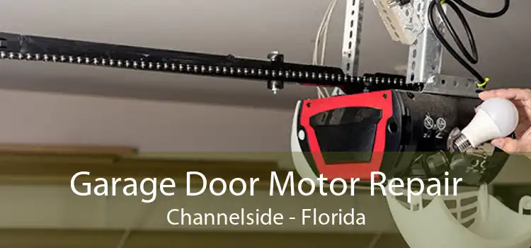 Garage Door Motor Repair Channelside - Florida