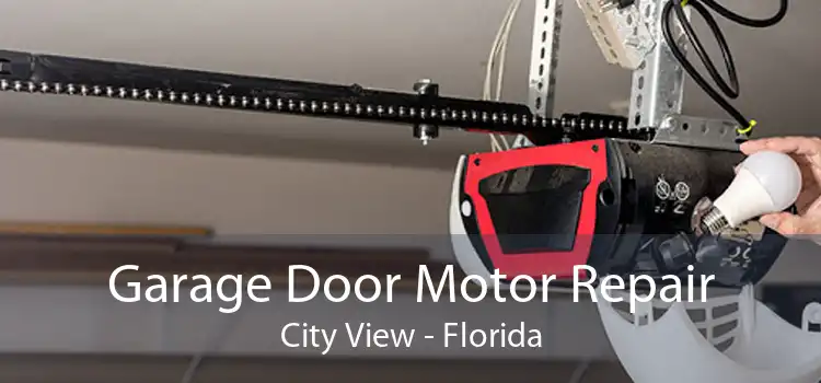 Garage Door Motor Repair City View - Florida