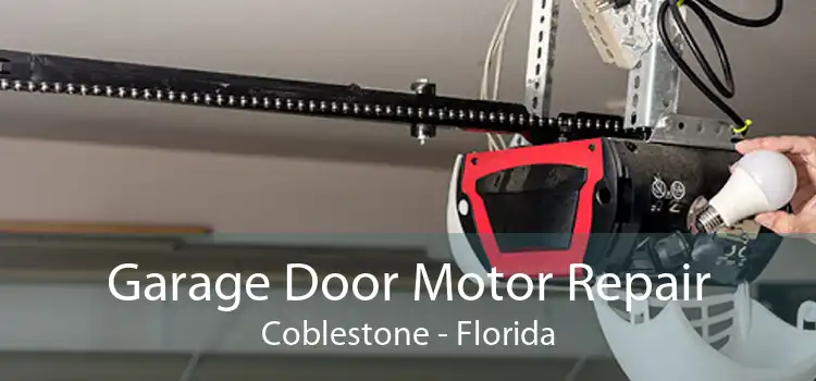 Garage Door Motor Repair Coblestone - Florida