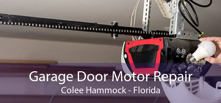 Garage Door Motor Repair Colee Hammock - Florida