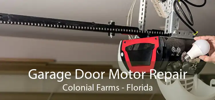 Garage Door Motor Repair Colonial Farms - Florida